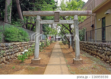 西大泉諏訪神社（練馬） 116959330