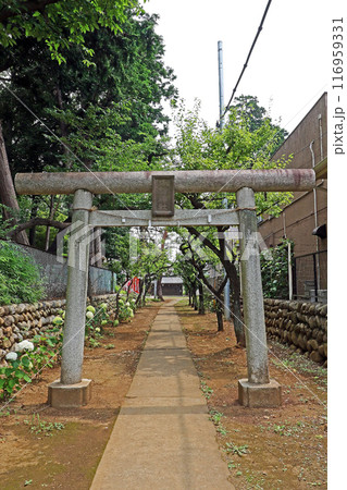 西大泉諏訪神社（練馬） 116959331