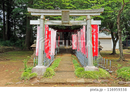 西大泉諏訪神社（練馬） 116959338