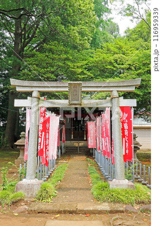 西大泉諏訪神社（練馬） 116959339