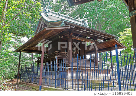 西大泉諏訪神社（練馬） 116959403