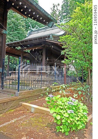 西大泉諏訪神社(練馬) 西大泉諏訪神社(練馬) 116959405