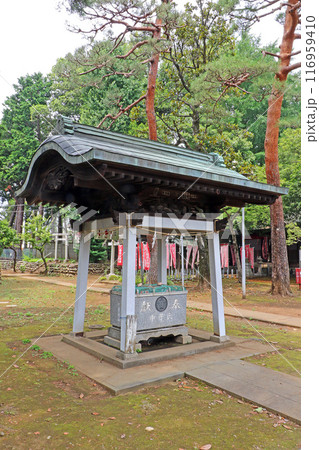 西大泉諏訪神社（練馬） 116959410