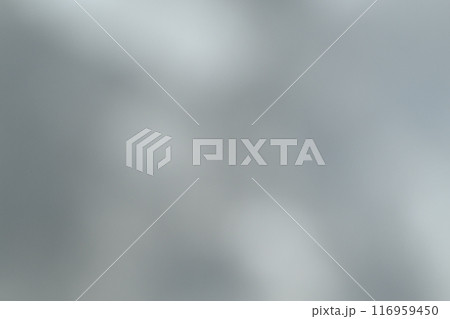 和紙によるボケ味を持つ背景素材（グレー） 116959450