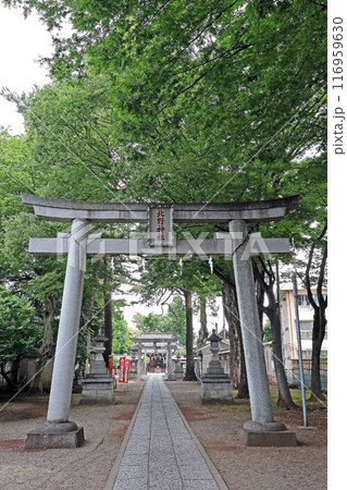 東大泉北野神社(練馬) 東大泉北野神社(練馬) 116959630