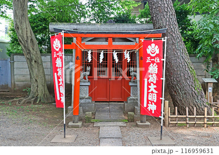 東大泉北野神社（練馬） 116959631