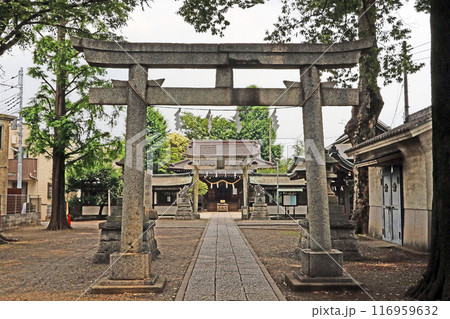 東大泉北野神社(練馬) 東大泉北野神社(練馬) 116959632