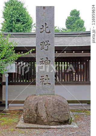 東大泉北野神社（練馬） 116959634
