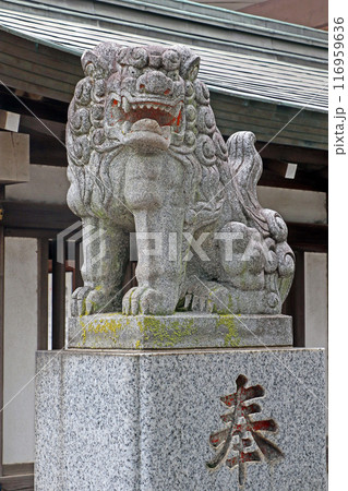 東大泉北野神社（練馬） 116959636
