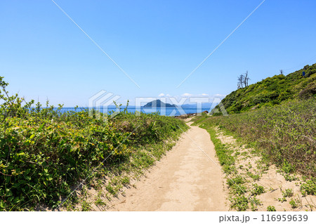 伊良湖岬遊歩道から見た神島 愛知県田原市 伊良湖岬遊歩道から見た神島 愛知県田原市 116959639