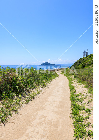 伊良湖岬遊歩道から見た神島　愛知県田原市 116959643