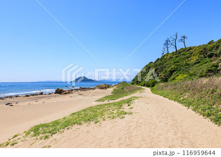 伊良湖岬遊歩道から見た神島　愛知県田原市 116959644