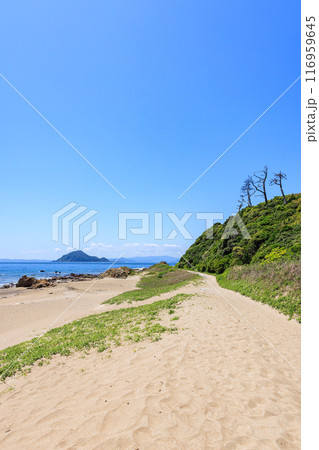 伊良湖岬遊歩道から見た神島　愛知県田原市 116959645