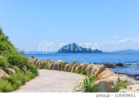 伊良湖岬遊歩道から見た神島　愛知県田原市 116959651
