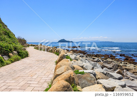 伊良湖岬遊歩道から見た神島　愛知県田原市 116959652