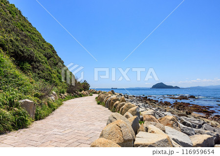 伊良湖岬遊歩道から見た神島　愛知県田原市 116959654