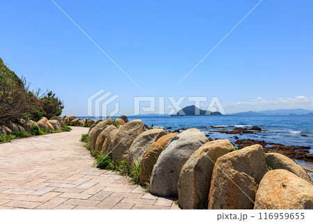 伊良湖岬遊歩道から見た神島 愛知県田原市 伊良湖岬遊歩道から見た神島 愛知県田原市 116959655