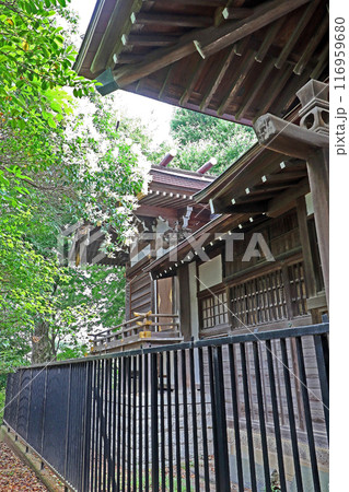 東大泉北野神社（練馬） 116959680