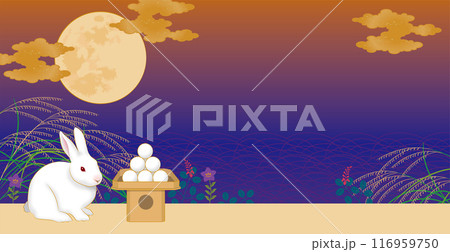 十五夜　中秋の名月　お月見をするうさぎ　コピースペース有り 116959750