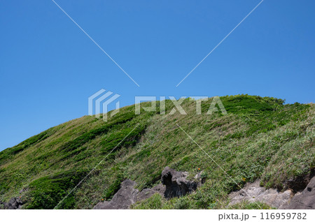 神奈川県城ヶ島の爽やかな青空と草原の丘 神奈川県城ヶ島の爽やかな青空と草原の丘 116959782