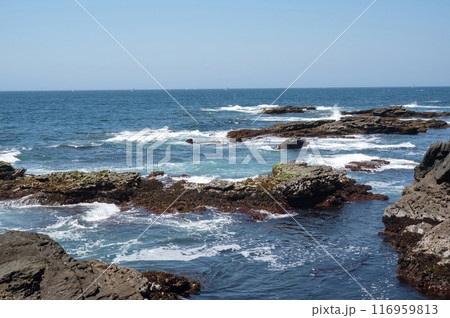 神奈川県城ヶ島海岸の岩に打ち寄せる波 116959813