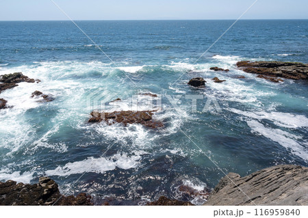 神奈川県城ヶ島海岸の岩に打ち寄せる波 神奈川県城ヶ島海岸の岩に打ち寄せる波 116959840