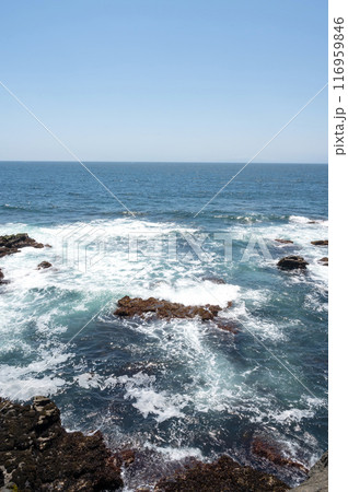 神奈川県城ヶ島海岸の岩に打ち寄せる波 神奈川県城ヶ島海岸の岩に打ち寄せる波 116959846