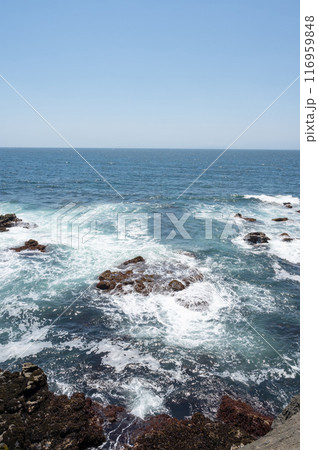 神奈川県城ヶ島海岸の岩に打ち寄せる波 116959848