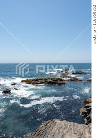 神奈川県城ヶ島海岸の岩に打ち寄せる波 神奈川県城ヶ島海岸の岩に打ち寄せる波 116959852