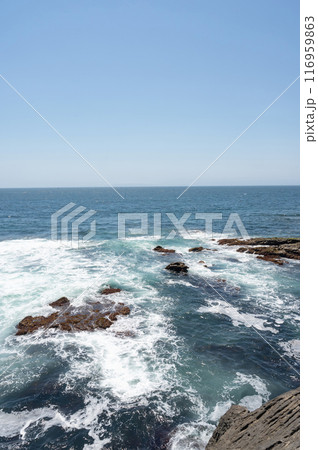 神奈川県城ヶ島海岸の岩に打ち寄せる波 116959863