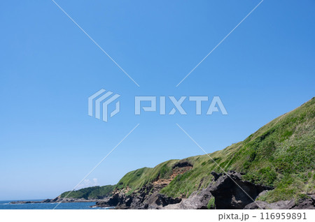 神奈川県城ケ崎の海岸の風景 116959891