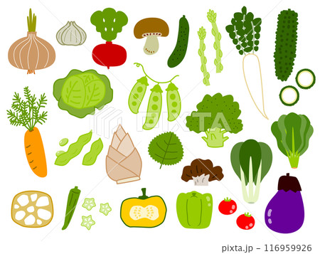 色々な野菜のイラストセット 色々な野菜のイラストセット 116959926