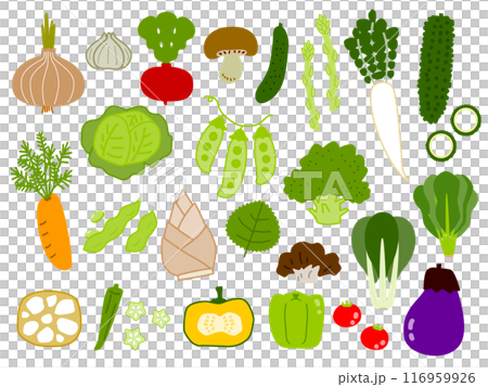 色々な野菜のイラストセット 色々な野菜のイラストセット 116959926