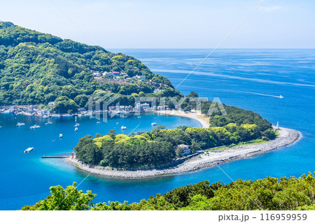 伊豆のくちばし御浜岬　駿河湾の海流によりできた砂嘴（さし）小石のビーチ　アカウミガメが産卵 116959959