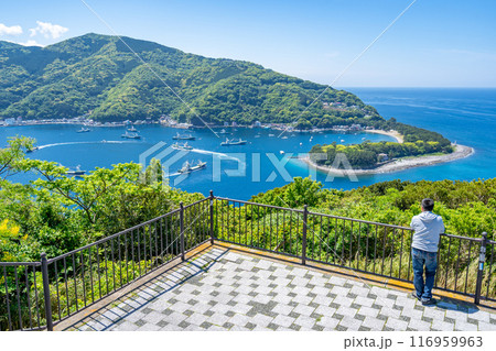 出逢い岬から御浜岬や戸田港を眺める男性　雄大な駿河湾の大パノラマ　西伊豆のビュースポット 116959963