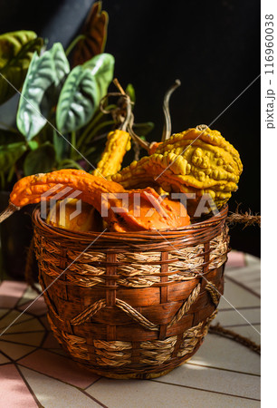Decorative creative set of decoration with different types of pumpkin Wax gourd, momordica on a table 116960038