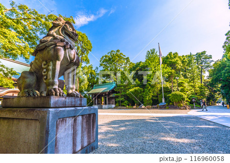 日本の寒川都市景観　相模國一之宮 寒川神社・社務所。緑が多い＝令和6年7月21日 116960058