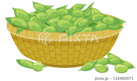 かごに入った枝豆のイラストアイコン/薄茶のかご、塩付き かごに入った枝豆のイラストアイコン/薄茶のかご、塩付き 116960071