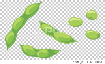 Simple edamame illustration icon Simple edamame illustration icon 116960081