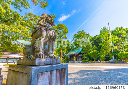日本の寒川都市景観 相模國一之宮 寒川神社。緑が多い=令和6年7月21日 日本の寒川都市景観 相模國一之宮 寒川神社。緑が多い=令和6年7月21日 116960158