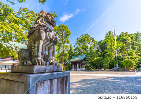 日本の寒川都市景観　相模國一之宮 寒川神社。緑が多い＝令和6年7月21日 116960159