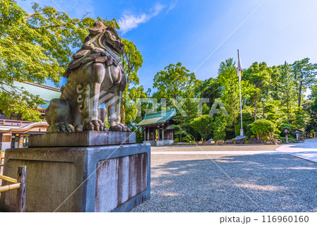 日本の寒川都市景観　相模國一之宮 寒川神社。緑が多い＝令和6年7月21日 116960160