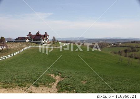 羊と雲の丘の風景_士別市 116960521