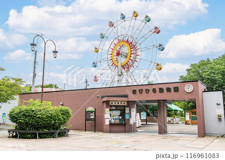 北海道帯広市 晴天のおびひろ動物園 北海道帯広市 晴天のおびひろ動物園 116961083