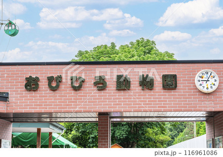 北海道帯広市 晴天のおびひろ動物園 北海道帯広市 晴天のおびひろ動物園 116961086