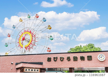 北海道帯広市 晴天のおびひろ動物園 北海道帯広市 晴天のおびひろ動物園 116961087