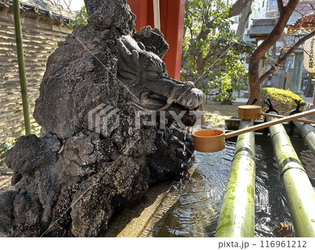神社の手水舎の下から見た龍 神社の手水舎の下から見た龍 116961212