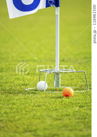 グランドゴルフのイメージ 116961500