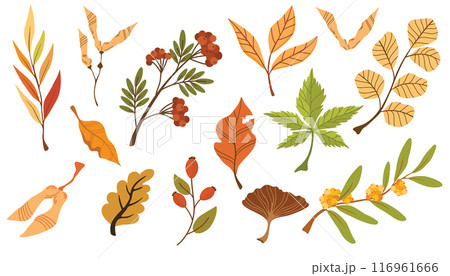 2212_autumn_foliage 116961666