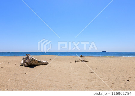 伊良湖岬の恋路ヶ浜 愛知県田原市 伊良湖岬の恋路ヶ浜 愛知県田原市 116961784